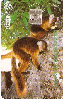 MDG-012 - Lêmures de Madagascar