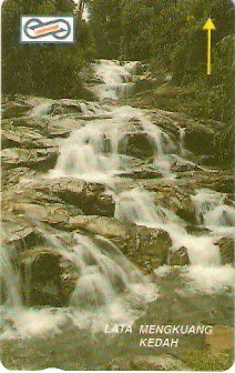 MLS-MU-099 - Lata Mengkuang