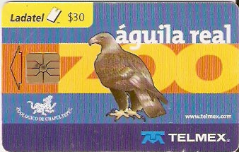 MXIN-40T05A - Águila Real - 05/12