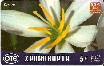 GRE-Pxr088 - Flor - Kolchiko