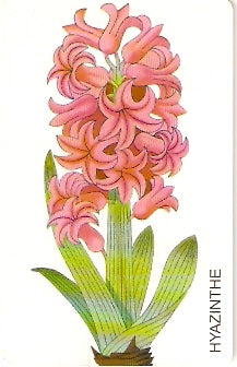 GER98PD05 - Hyzinthe