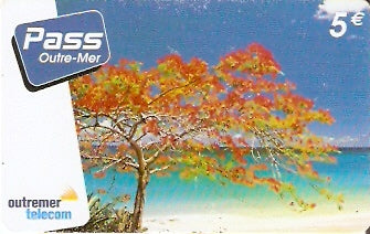 FA-OUT-PAO-01-5107 - Flamboyant na Praia 3