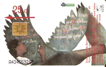 NET-CG19-2 -  Gansos Selvagens