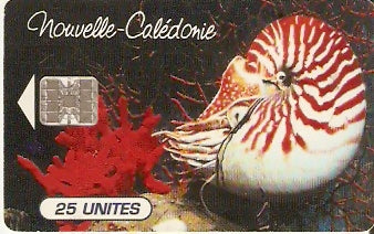 NCL-038 -  Aquário Noumea