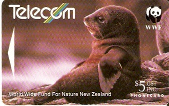 NZG-062 - Foca