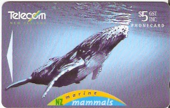 NZG-102 - Baleia