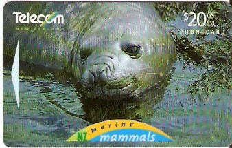 NZG-105 - Elefante Marinho