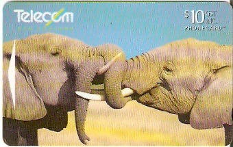 NZG-171 - Elefantes Africanos