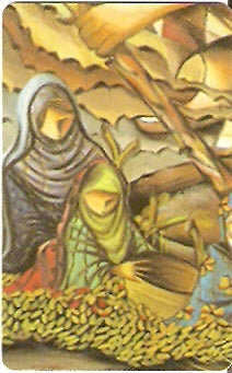 OMN-C-037 - Seasoning of dates - 2/6