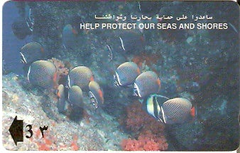OMN-012C - Collared Butterflyfish
