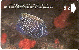 OMN-012B - Emperor Angelfish