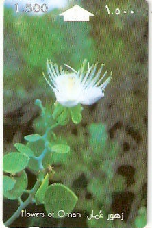 OMN-029F - Capparis Spinosa