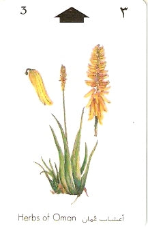 OMN-029B - Aloe Vera