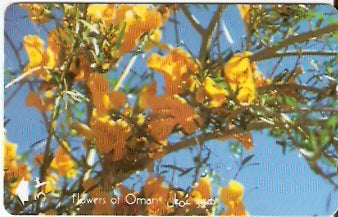 OMN-029E - Tecomella Undulata