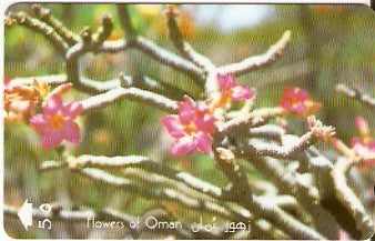 OMN-029D - Adenium Obesum