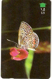 OMN-034S - Grass Jewell