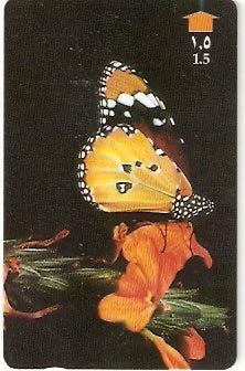 OMN-034R - Plain Tiger