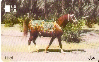OMN-037B - Hilal