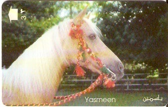 OMN-037D - Yasmeen