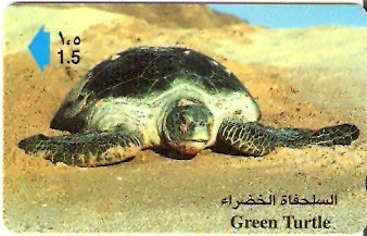 OMN-041A - Tartaruga Verde