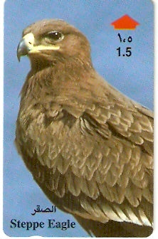 OMN-041L - Steppe Eagle