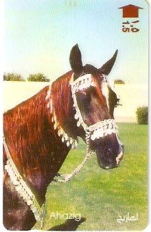 OMN-037C - Ahazig