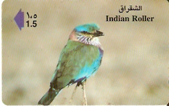 OMN-041F - Indian Roller