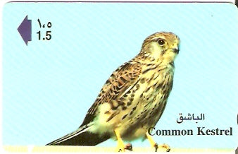 OMN-041S - Common Kestrel