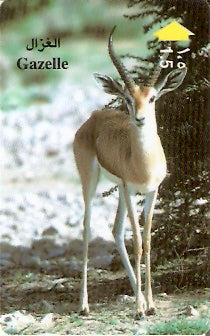 OMN-044B - Gazela