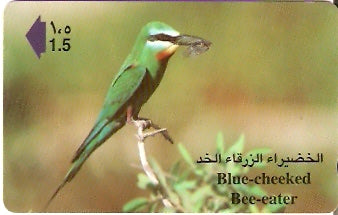 OMN-044M - Blue Cheeked Bee-Eater