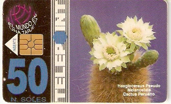 PER-TE-009 - Cactus Peruano