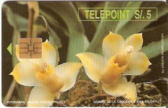 PER-TE-046 - Orquidea