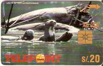 PER-TE-065 - Lobo de Rio