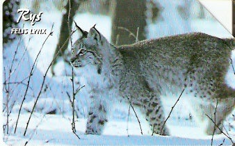 POL-1335 - Lince