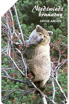 POL-1334 - Ursus Pardo