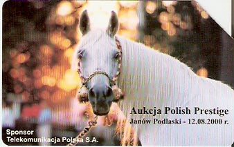 POL-0900 - Cavalo - 31º Leilão Polonês