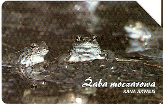POL-1354 - Sapo do Pântano