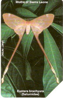 SRL-14 - Borboletas - 200