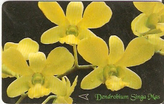 SIN-083A -  Orquídea - Amarela