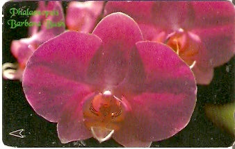SIN-083B -  Orquídea - Vermelha