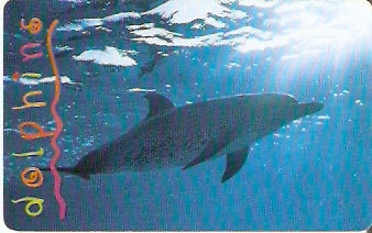 SAFM-150 - Golfinhos - 3