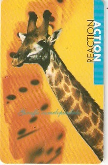 SAF-102 - Girafa