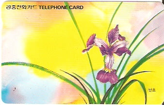 SOK-MO09105 - Orquídea