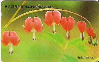 SOK-MO09501 - Flor