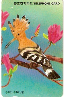 SOK-MO09534 - Pássaro