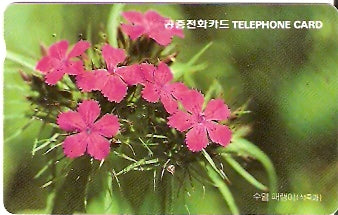SOK-MO09509 - Flor do Bambu
