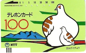 JAP-310-003-100