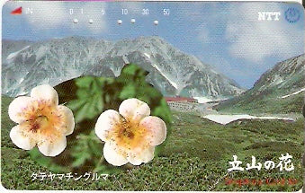 JAP-310-119
