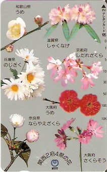 JAP-331-124