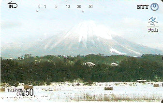 JAP-350-202